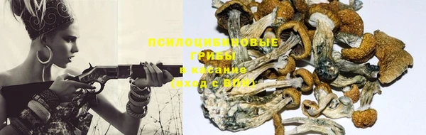 ПСИЛОЦИБИНОВЫЕ ГРИБЫ Баксан