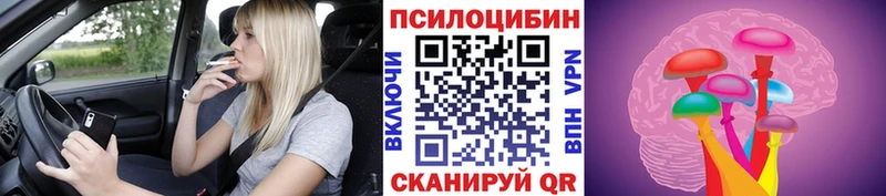 даркнет сайт Отрадное Галлюциногенные грибы Psilocybine cubensis