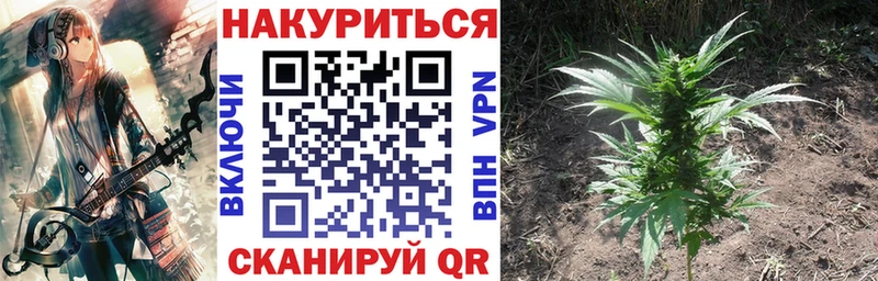 дарнет шоп  Отрадное  Каннабис конопля 